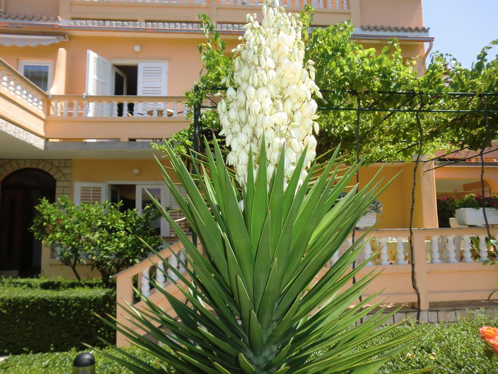 Guest House Sandra Rab Town Esterno foto